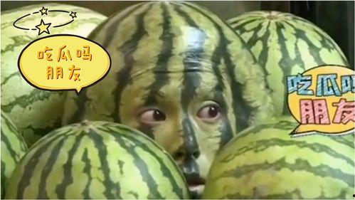 有哪些以吃瓜为主题的搞笑视频,盘点那些让人捧腹的吃瓜搞笑视频