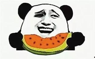 吃瓜群众马师傅视频大全,揭秘娱乐圈幕后故事